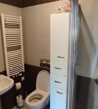 Apartament Apartament Gazda *